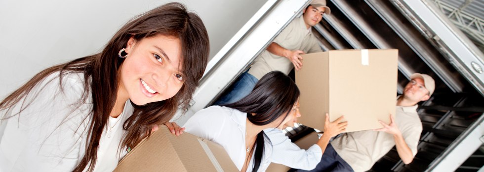 Professional Removalists Madeley